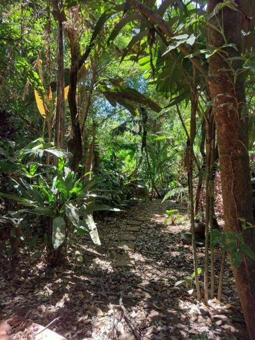 Eco Villas Tambor Tucanes 外观 照片