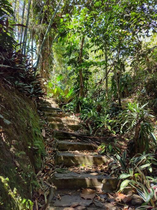 Eco Villas Tambor Tucanes 外观 照片