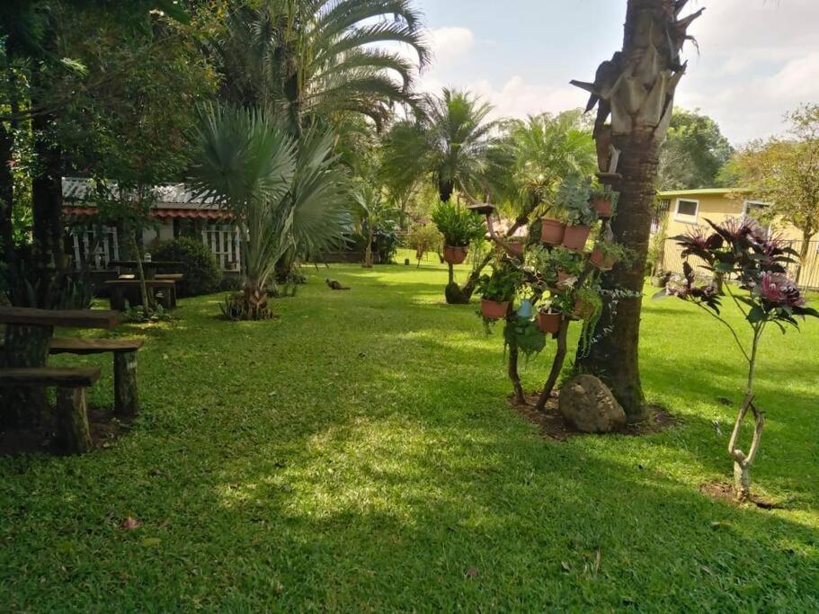 Eco Villas Tambor Tucanes 外观 照片