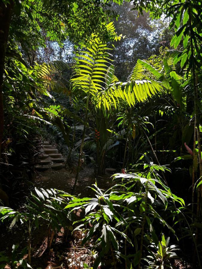 Eco Villas Tambor Tucanes 外观 照片