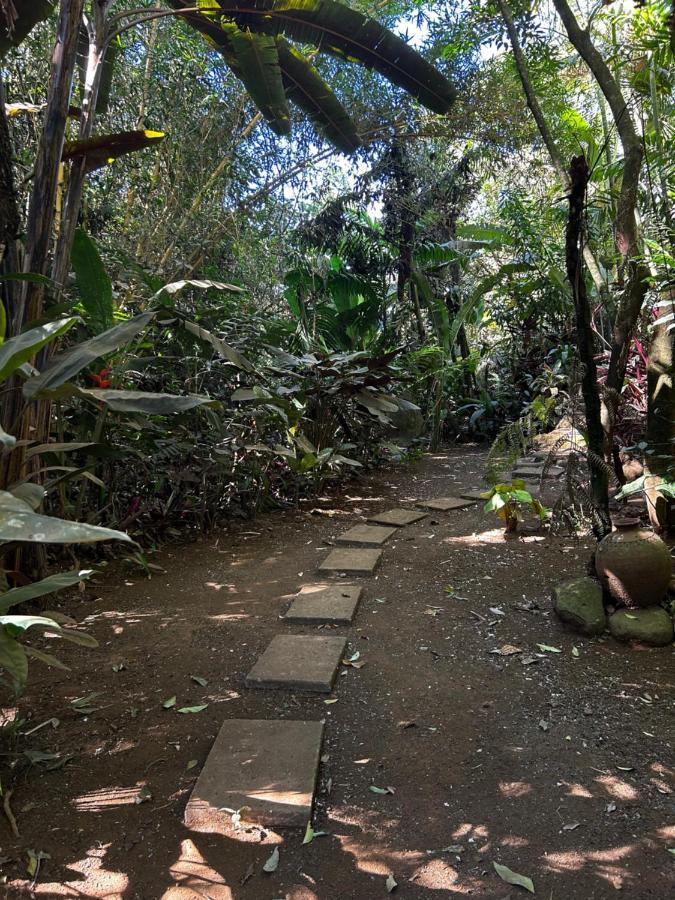 Eco Villas Tambor Tucanes 外观 照片