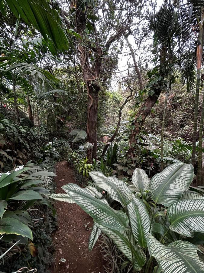 Eco Villas Tambor Tucanes 外观 照片