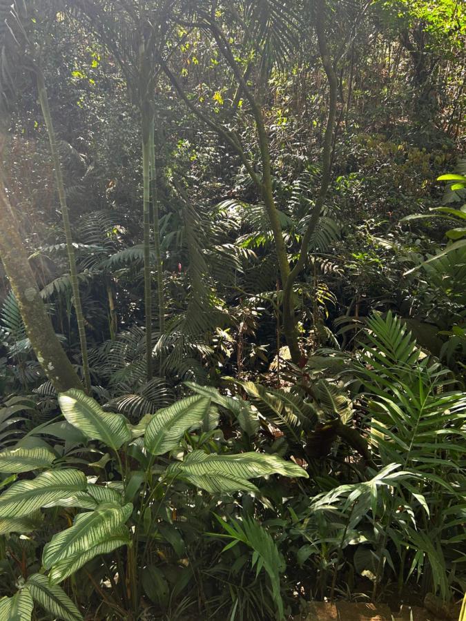 Eco Villas Tambor Tucanes 外观 照片