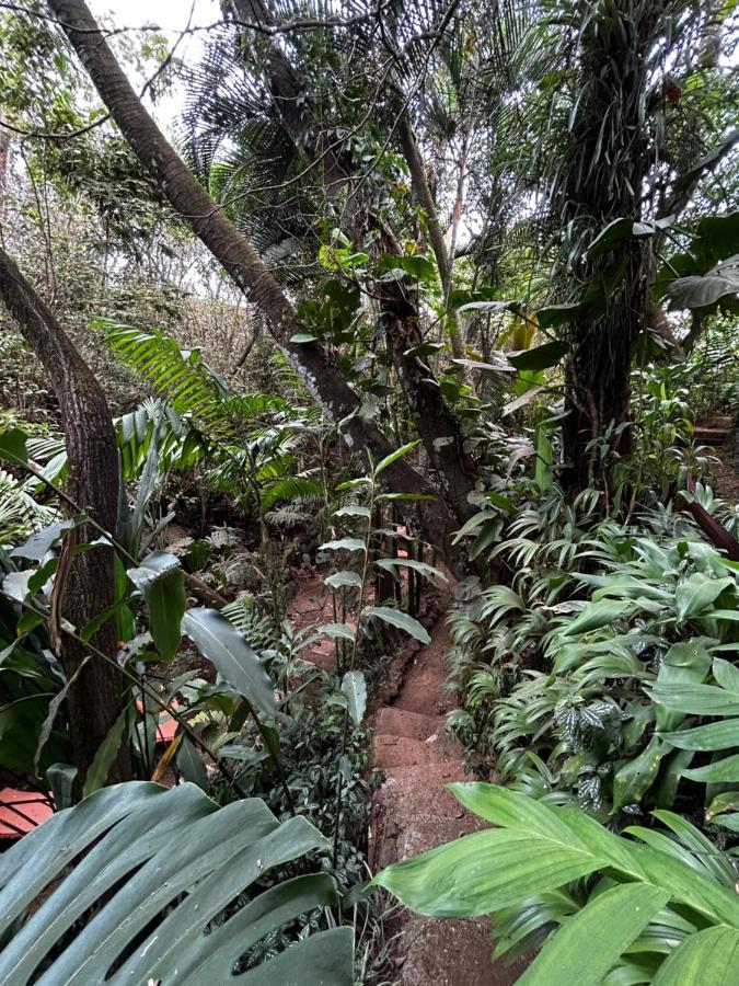 Eco Villas Tambor Tucanes 外观 照片
