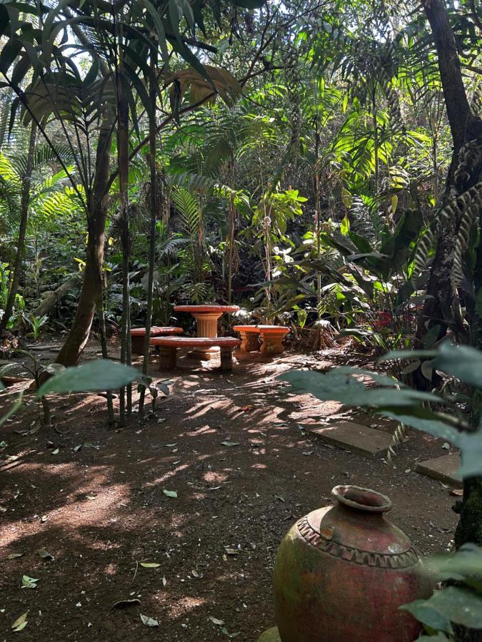 Eco Villas Tambor Tucanes 外观 照片