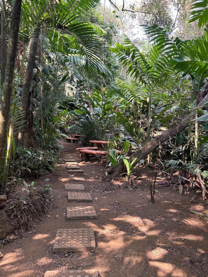 Eco Villas Tambor Tucanes 外观 照片