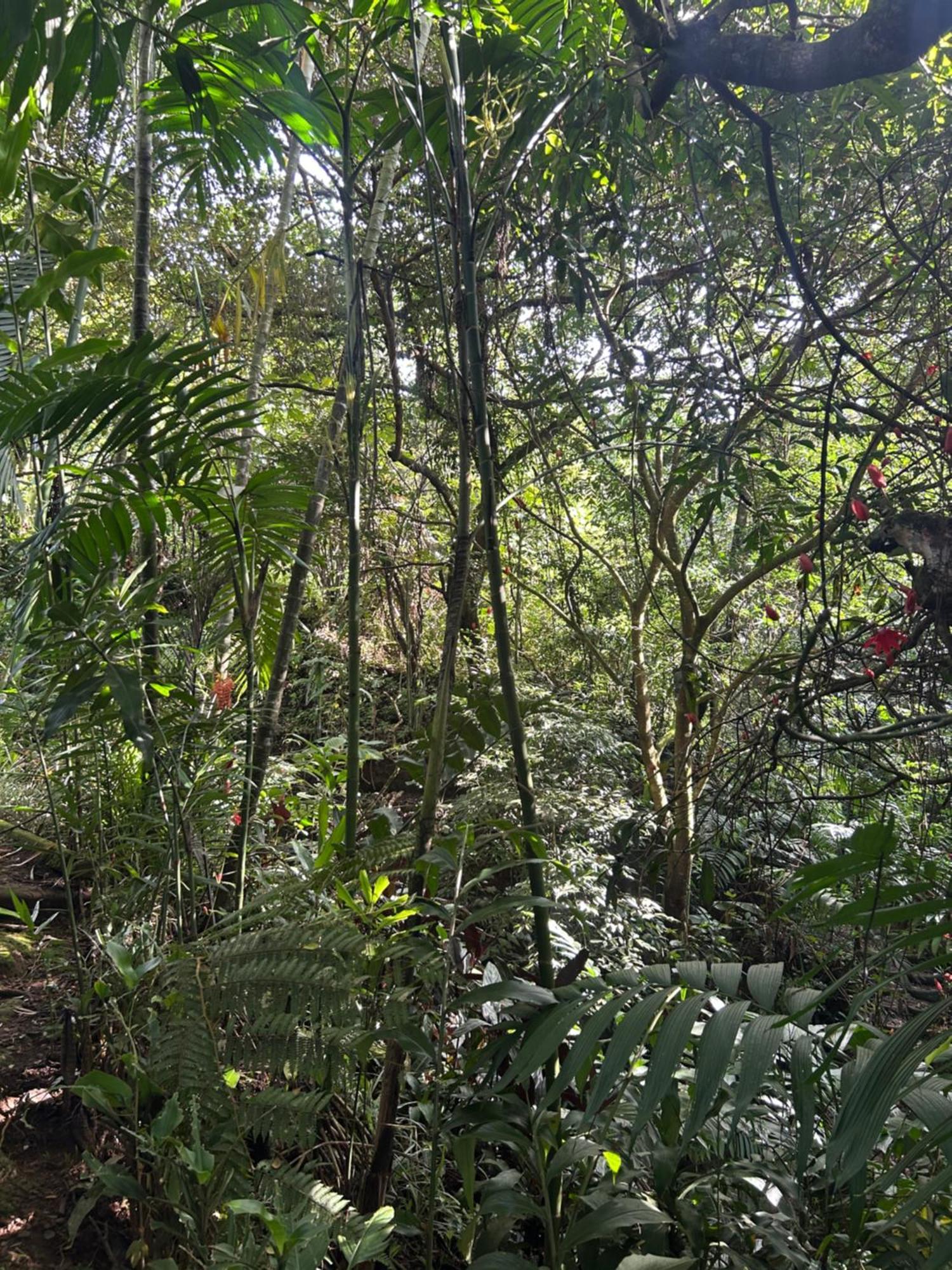 Eco Villas Tambor Tucanes 外观 照片